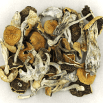 Full Moon Party | Shroom Canada
