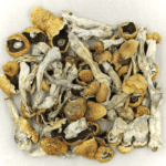 Orissa | Shroom Canada