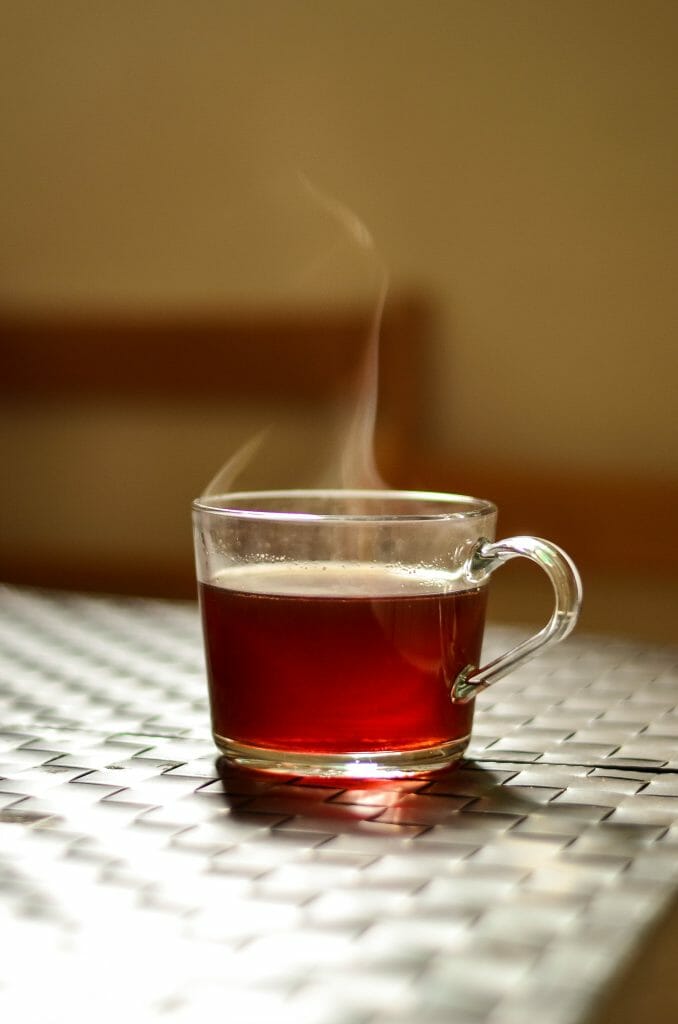 mushroom tea at Shroom Canada