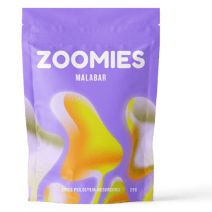 Malabar Coast | Shroom Canada