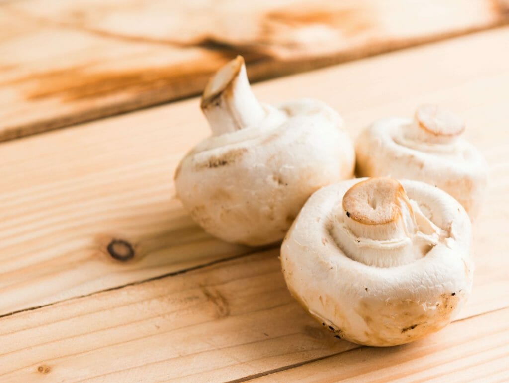 Buy Mushrooms Online and Explore the The Best Way to Obtain Psilocybin Buy Shrooms Online at Shroom Canada