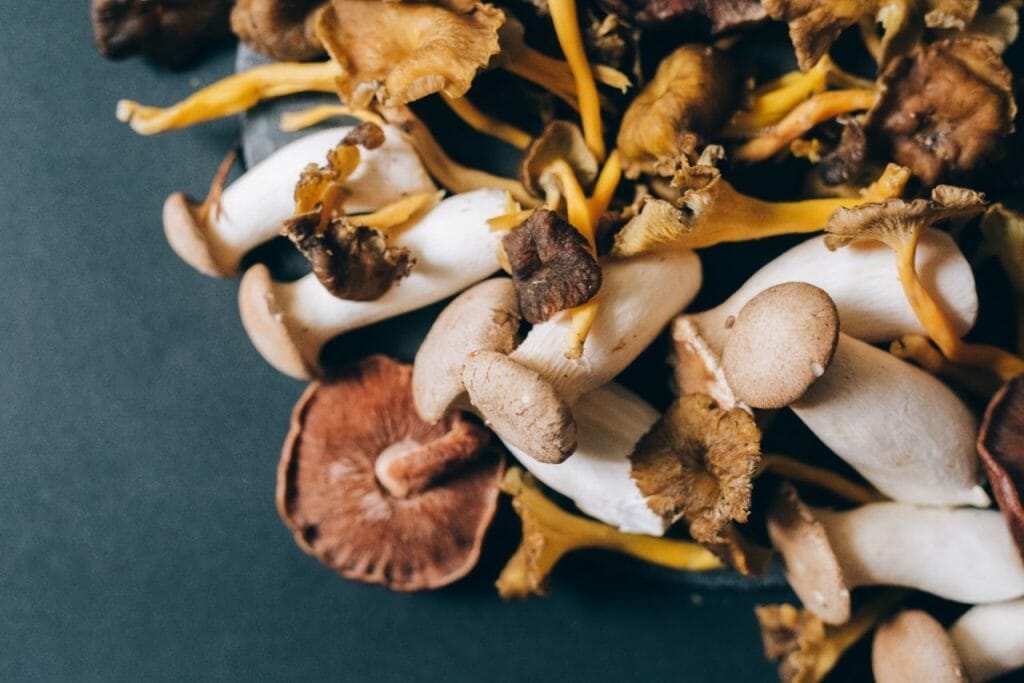 How Do Mushrooms Benefit Your Health? Health benefits of mushrooms